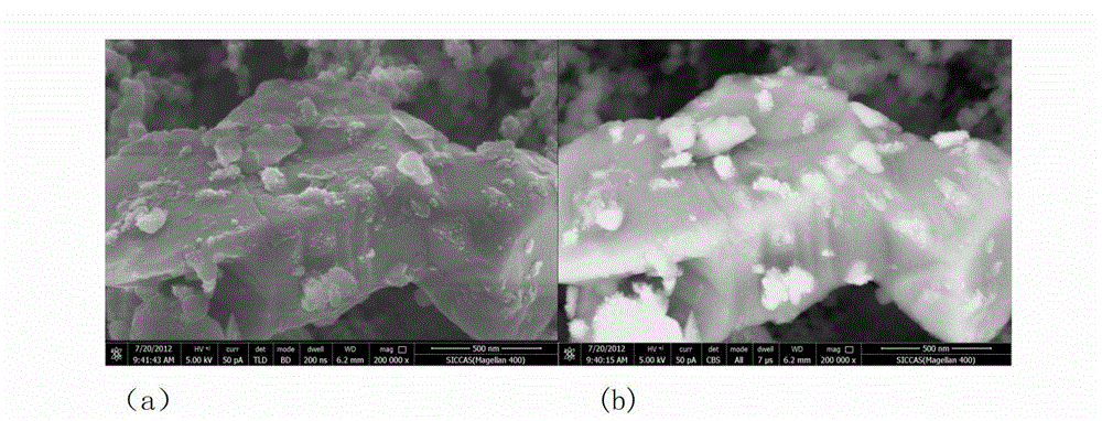 Positive pole composite system of lithium sulphur battery containing catalytic additive