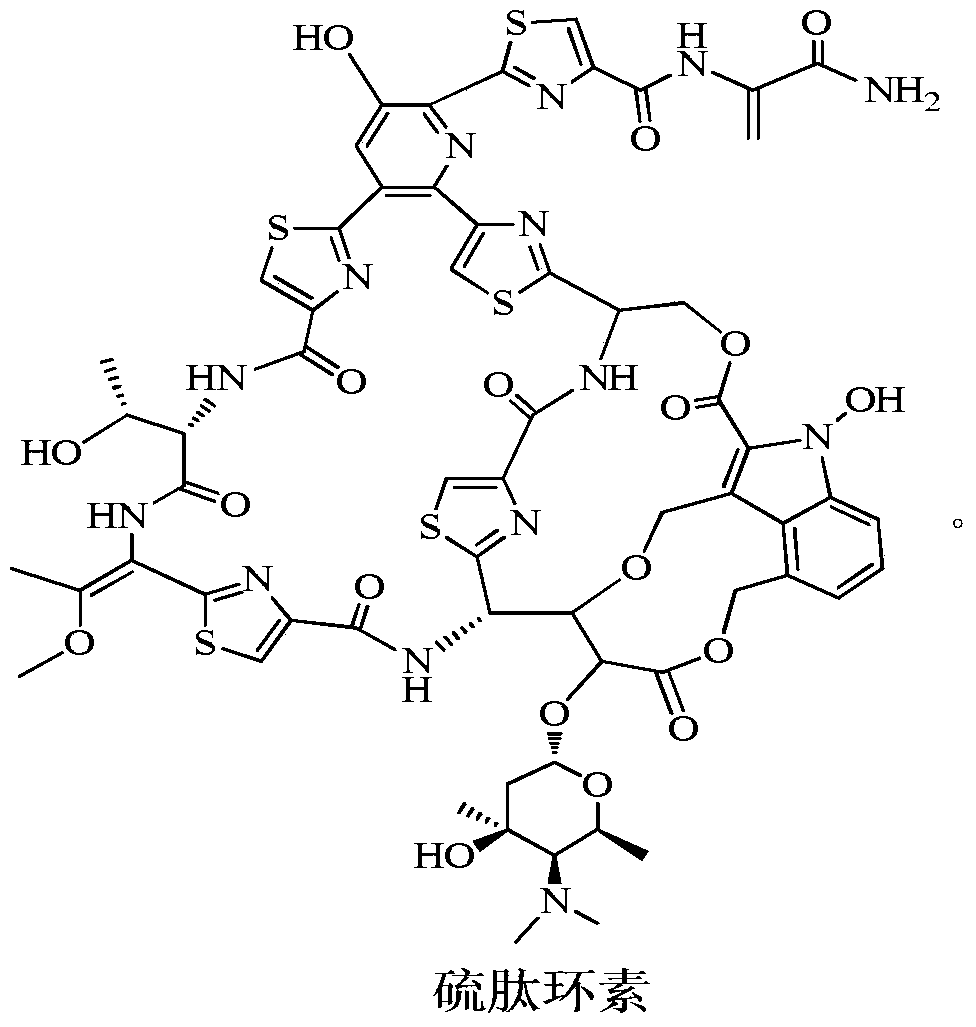 A new application of Thiopeptidecycline