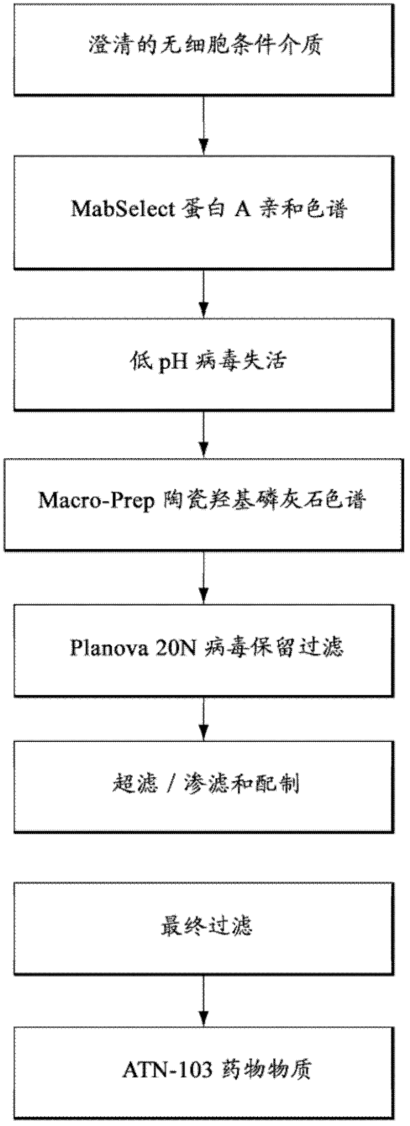 Methods for purification of single domain antigen-binding molecules