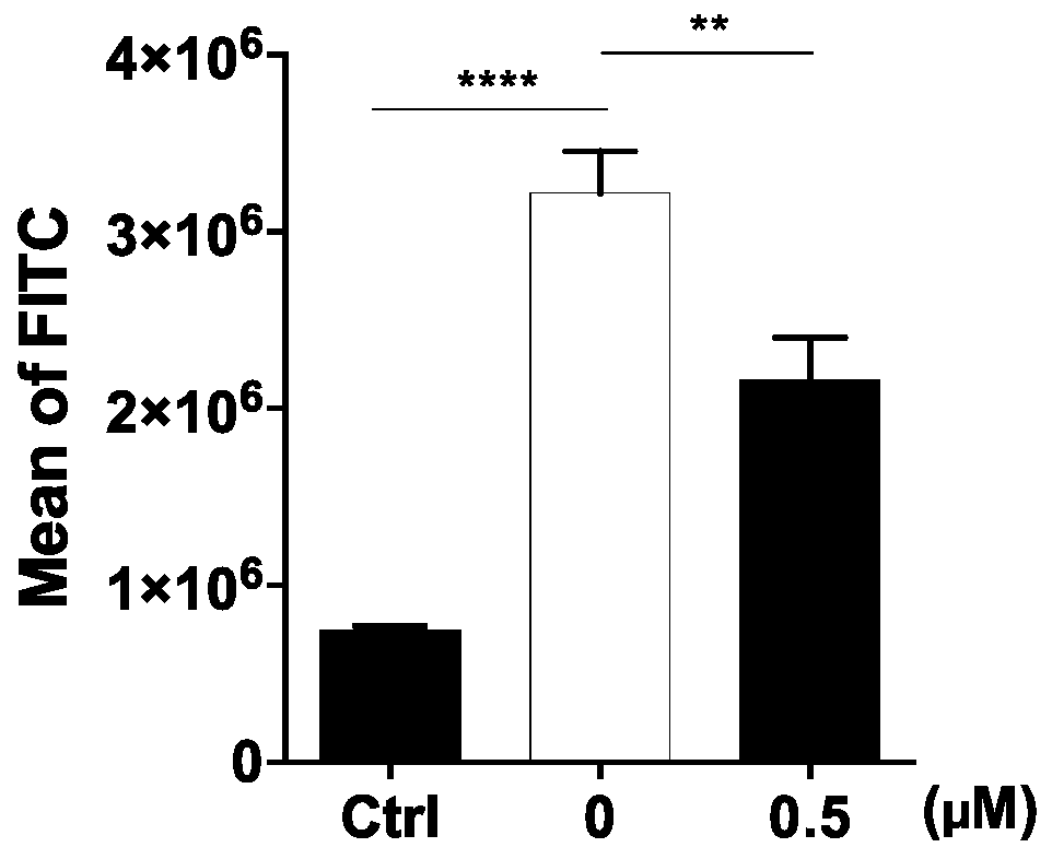 Lead compound serving as ANKRD22 inhibitor and application thereof