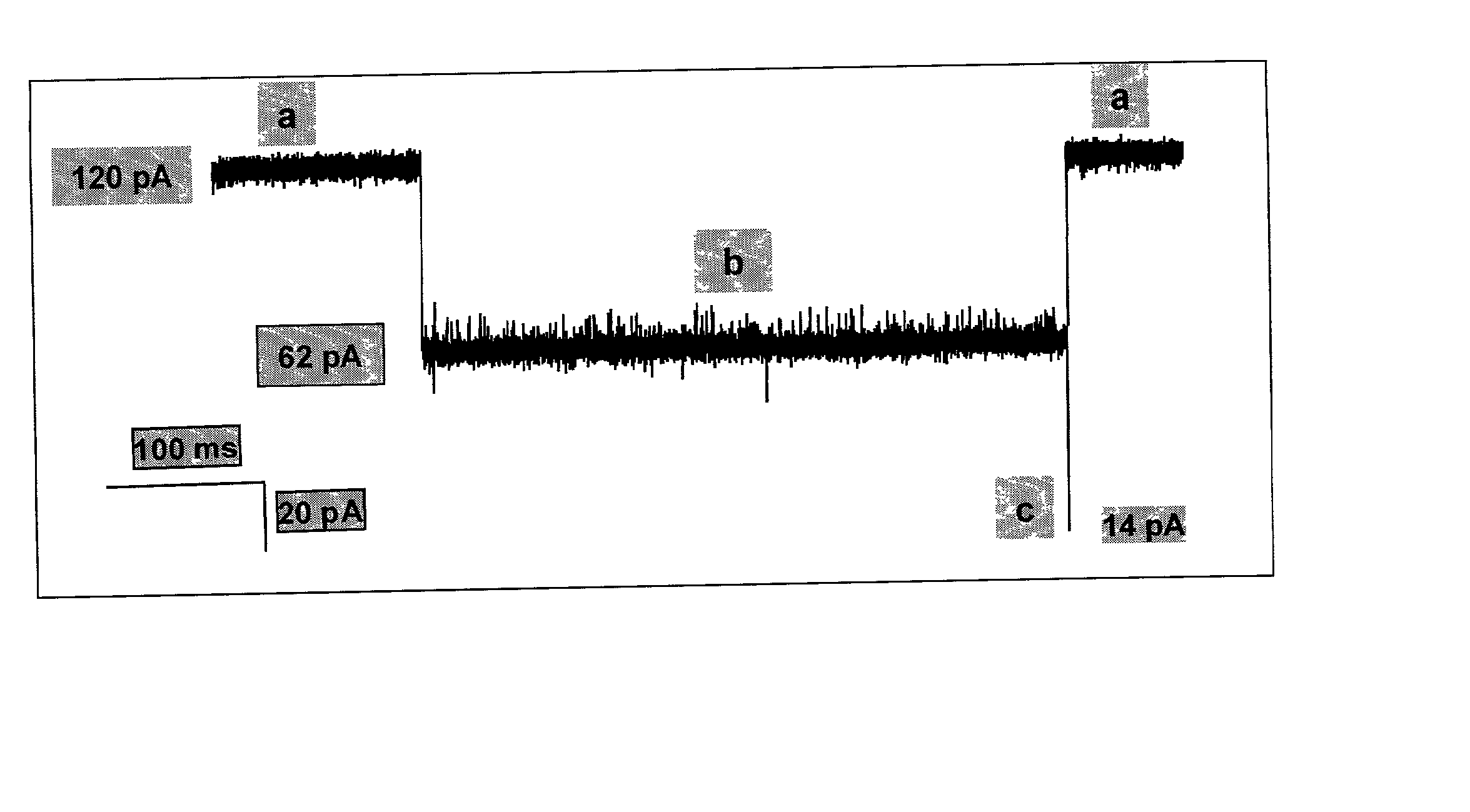 Methods and devices for characterizing duplex nucleic acid molecules