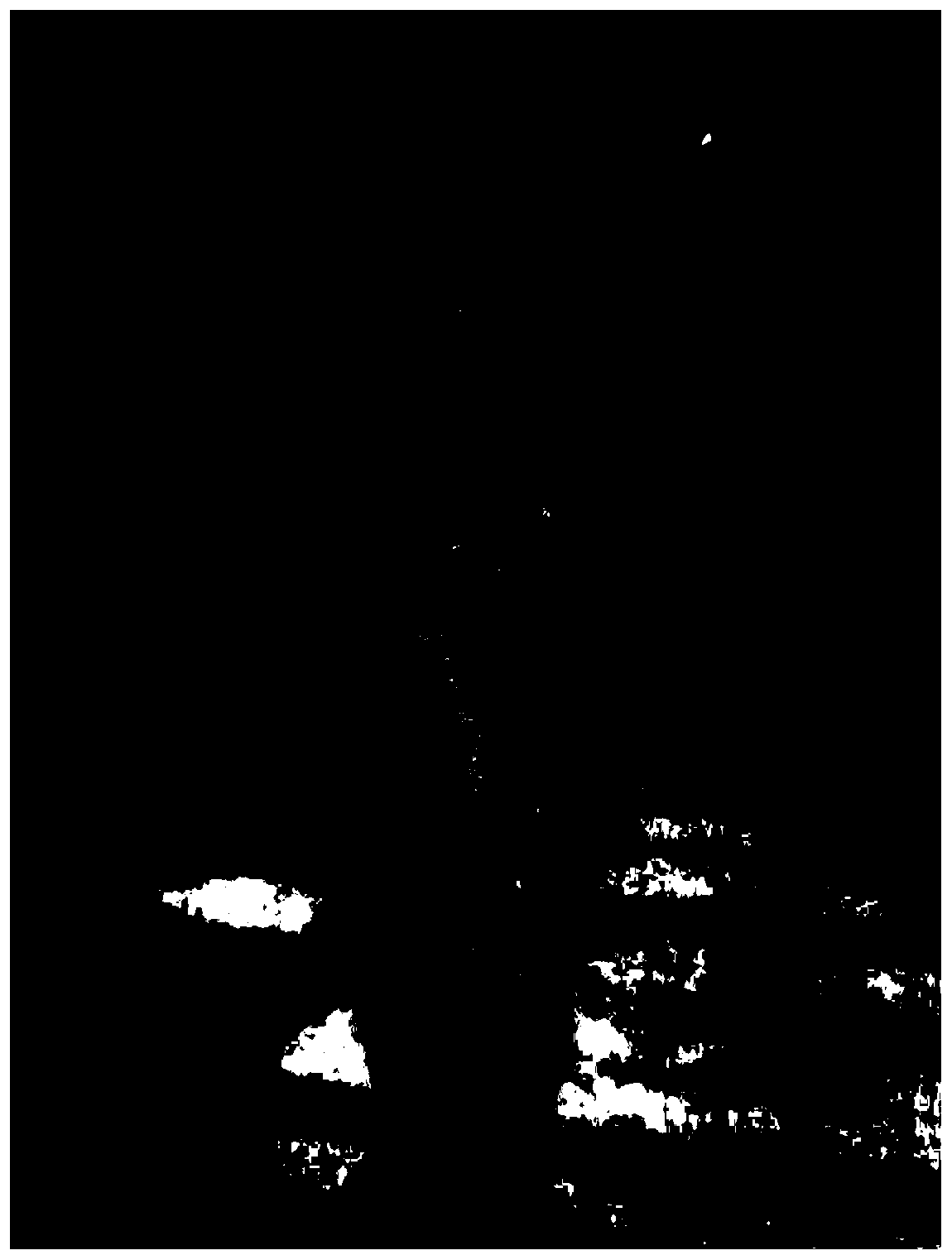 Method for separating bark rot pathogenic bacteria from lignum aquilarae by using host substrate