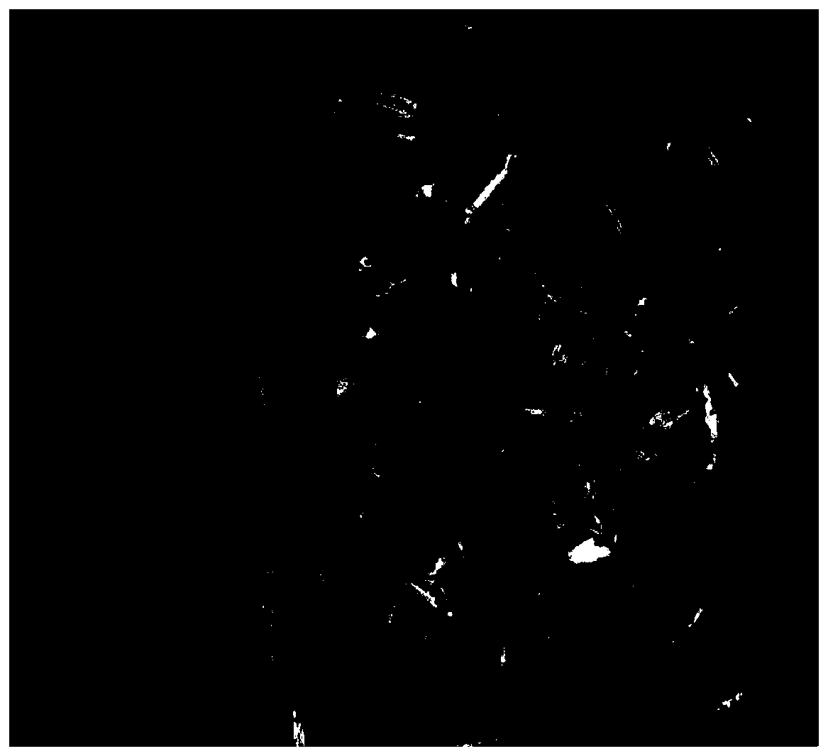 Method for separating bark rot pathogenic bacteria from lignum aquilarae by using host substrate