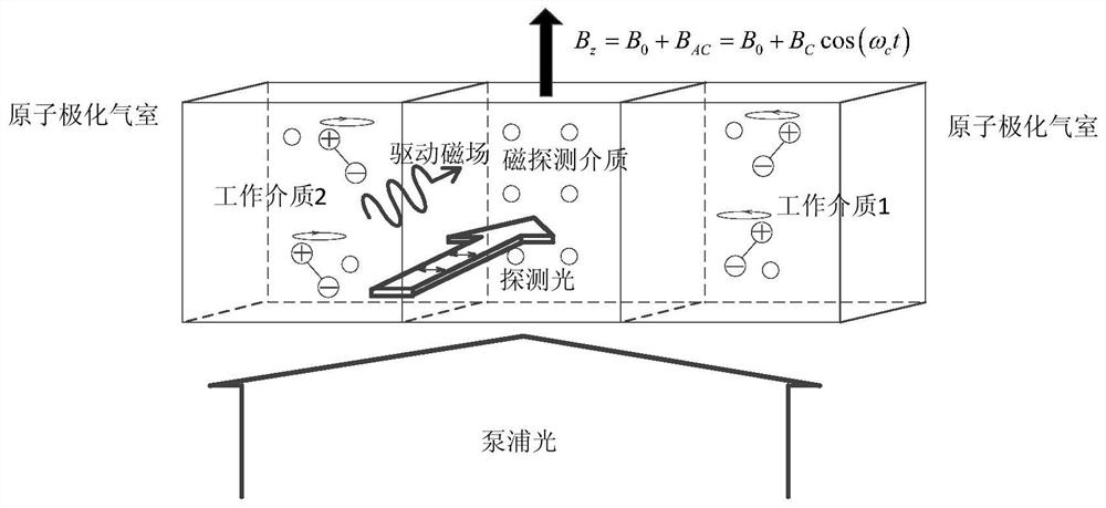 Nuclear magnetic resonance gyroscope with discrete working media