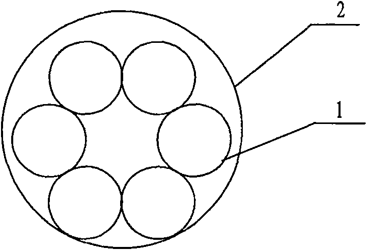 Spiral module type assembled casing heat exchanger