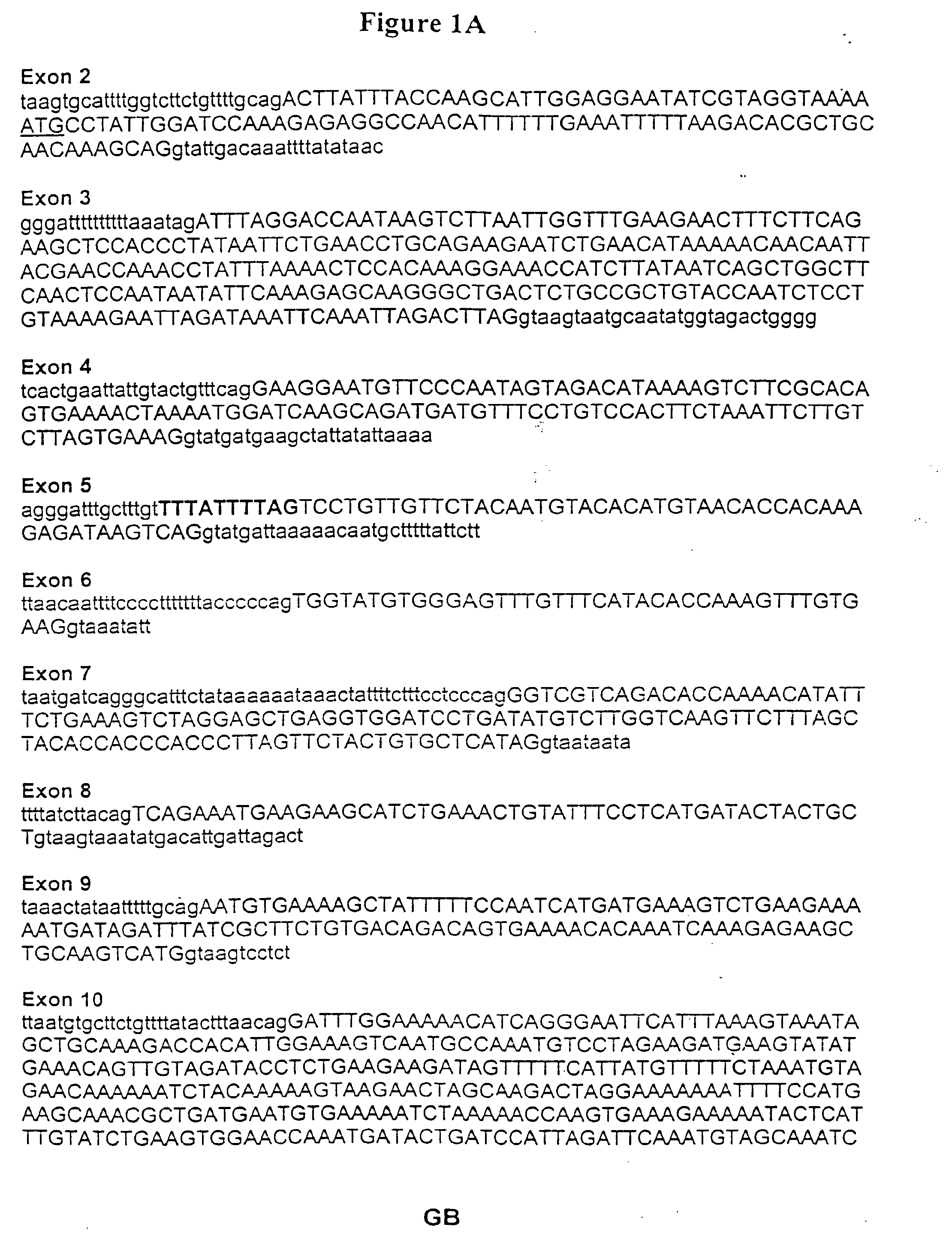 Method of Analyzing a BRCA2 Gene in a Human Subject