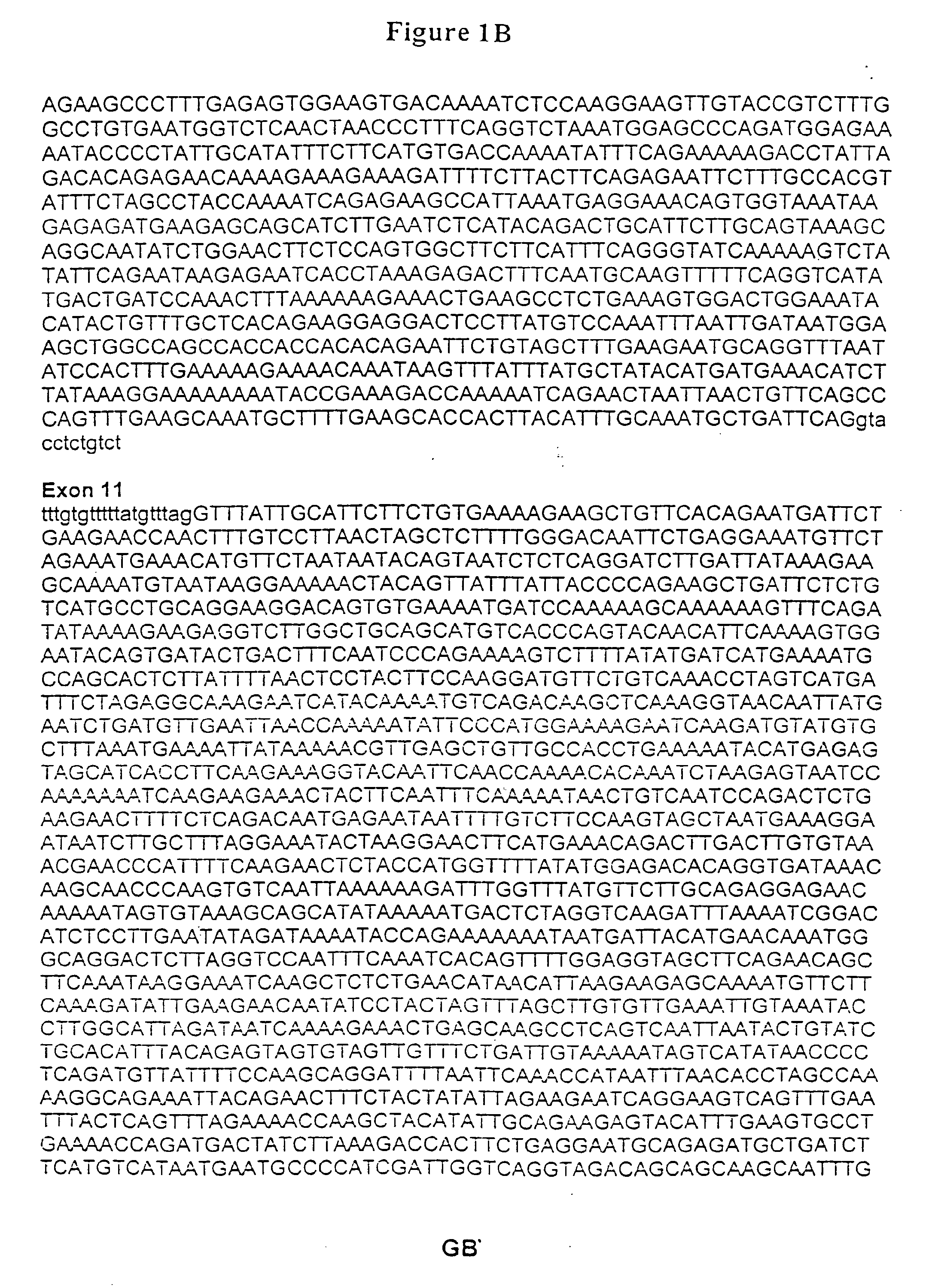 Method of Analyzing a BRCA2 Gene in a Human Subject