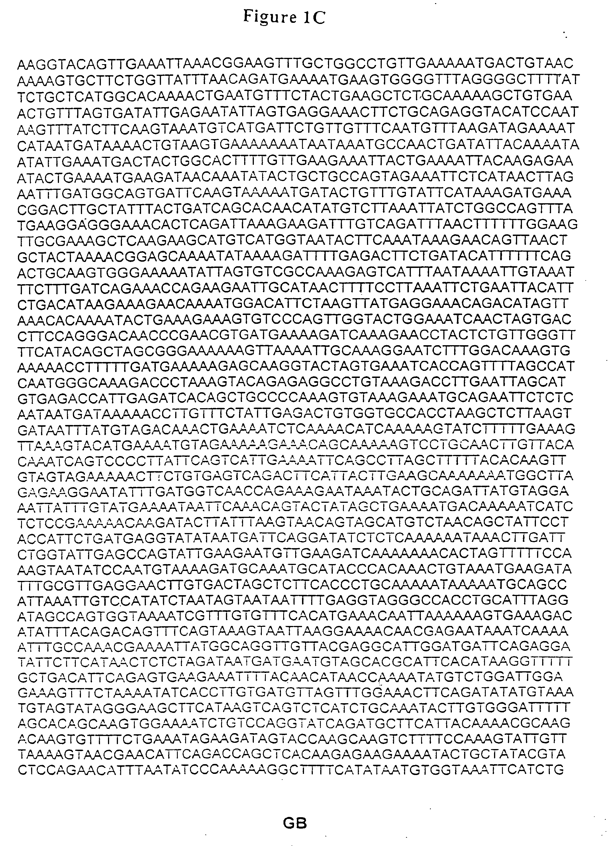 Method of Analyzing a BRCA2 Gene in a Human Subject