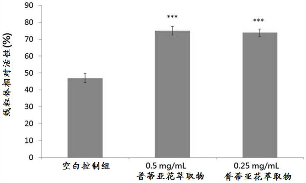 Application of protea cynaroides extract in preparation of skin anti-aging composition