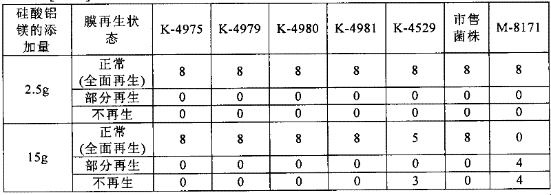 Hypsizigus marmoreus bacterial strain and production method of hypsizigus marmoreus fruit body