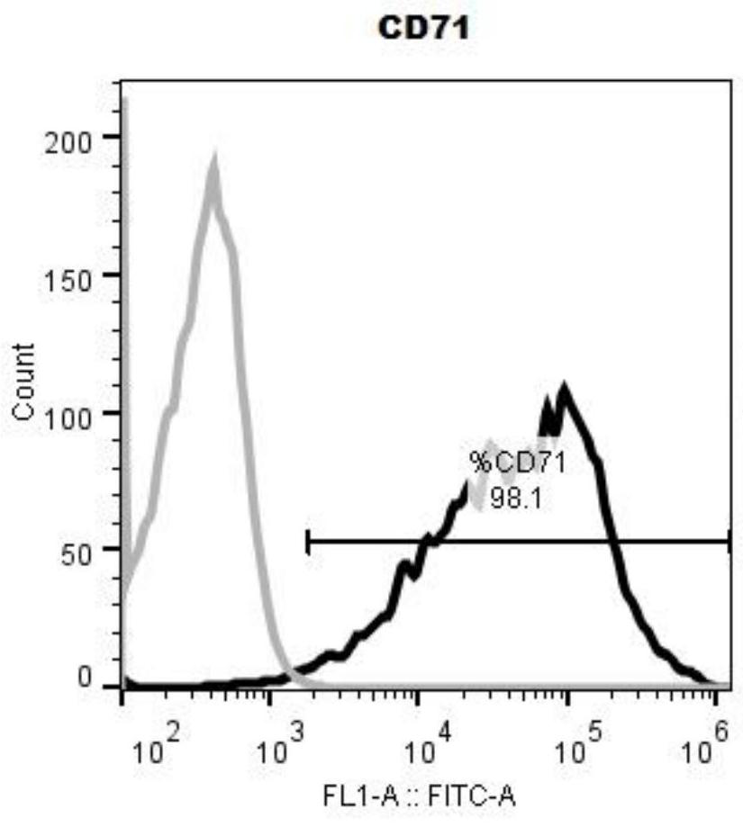 A kind of erythrocyte progenitor cell serum-free medium and method of using the same