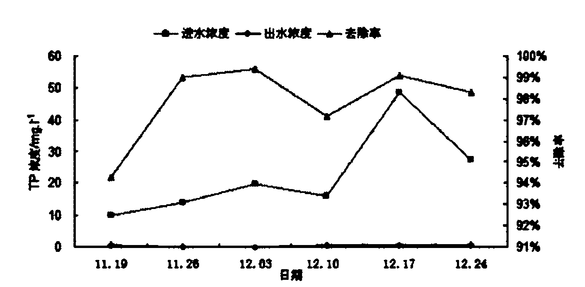 Application of ligularia sibirica in treating livestock and poultry breeding waste water