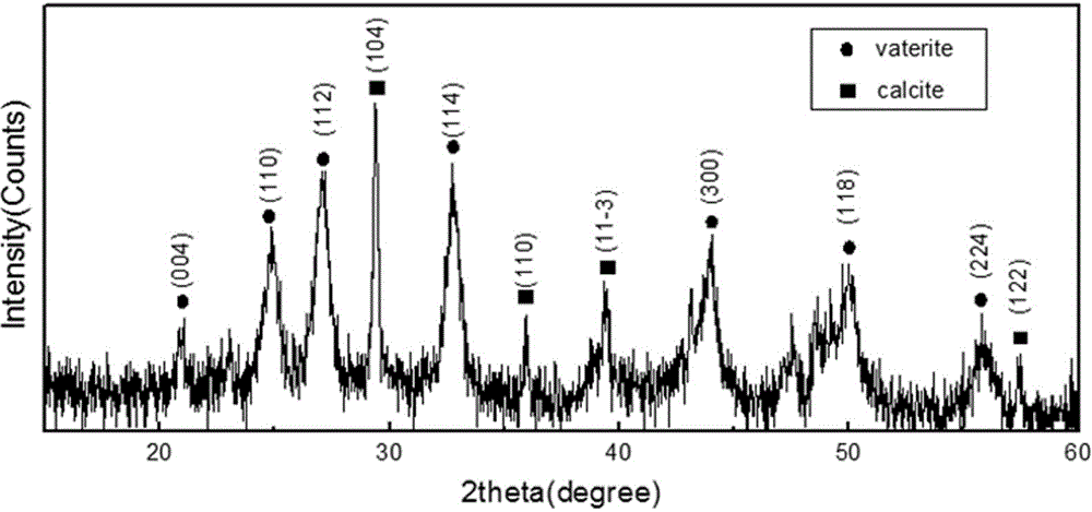 Vaterite calcium carbonate microspheres and preparation method thereof