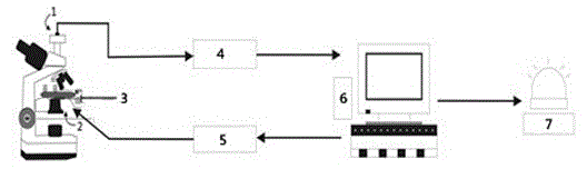 Inclusion movement detection system and method