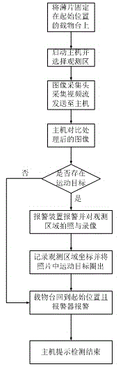 Inclusion movement detection system and method