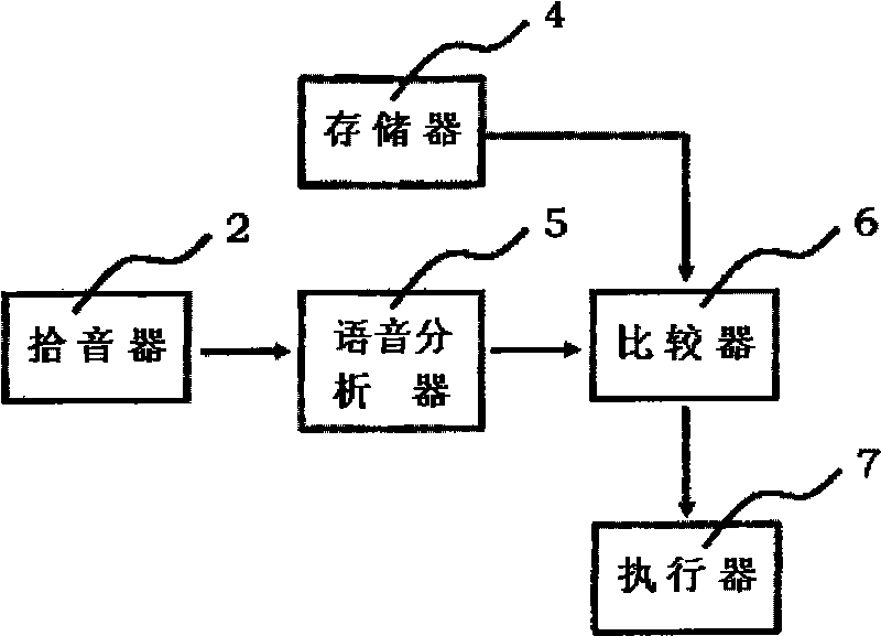 Voice controlled switch