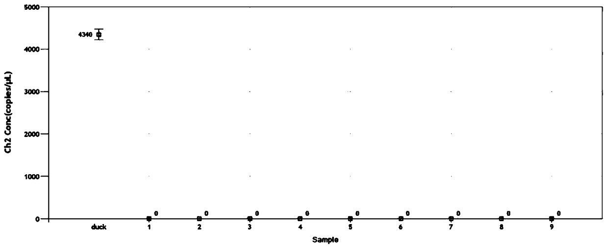 Specific primers, probes, kits and detection methods for detecting duck-derived components in meat products