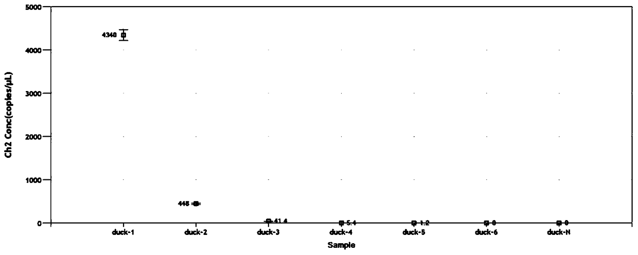 Specific primers, probes, kits and detection methods for detecting duck-derived components in meat products