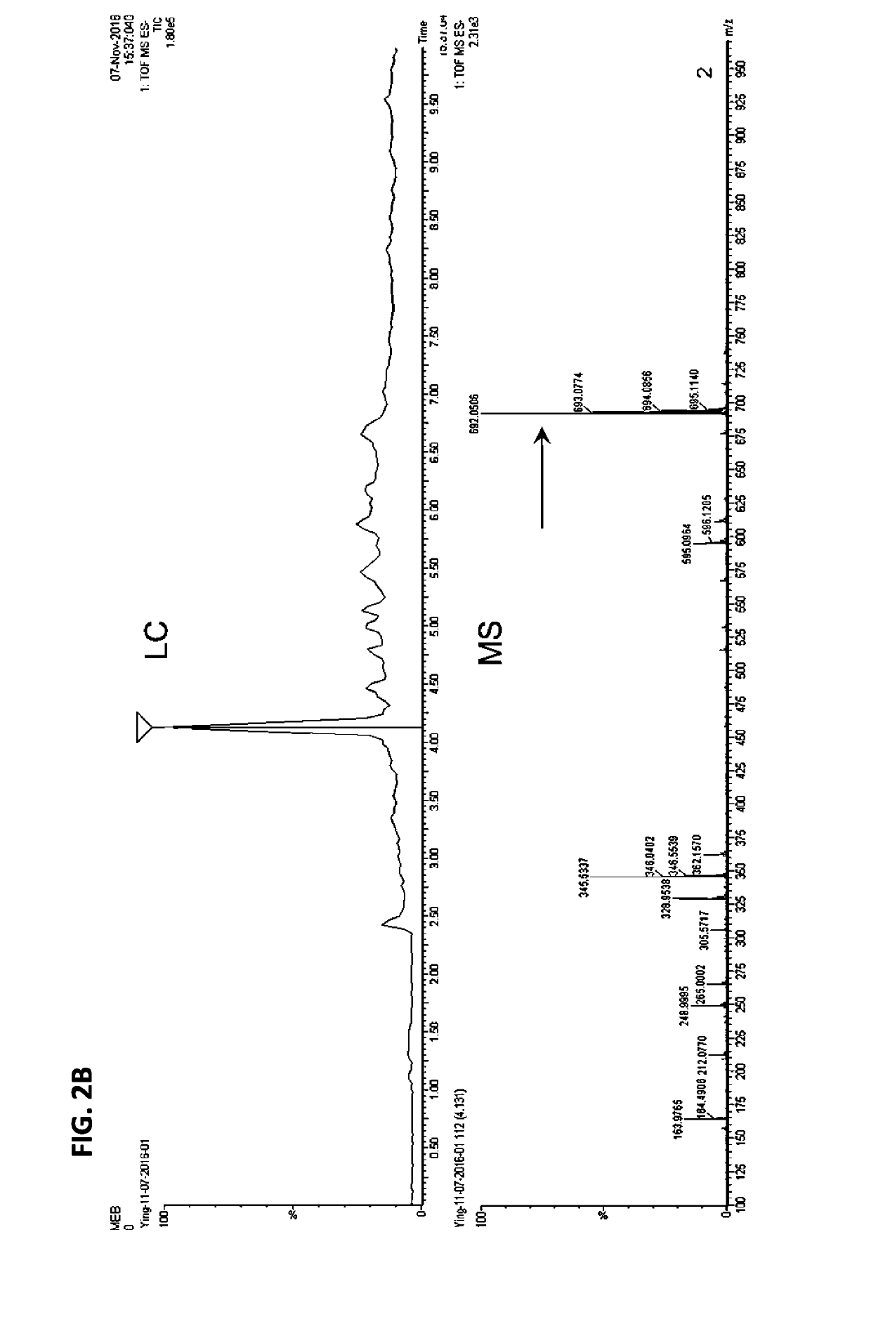 Albumin-binding immunomodulatory compositions and methods of use thereof