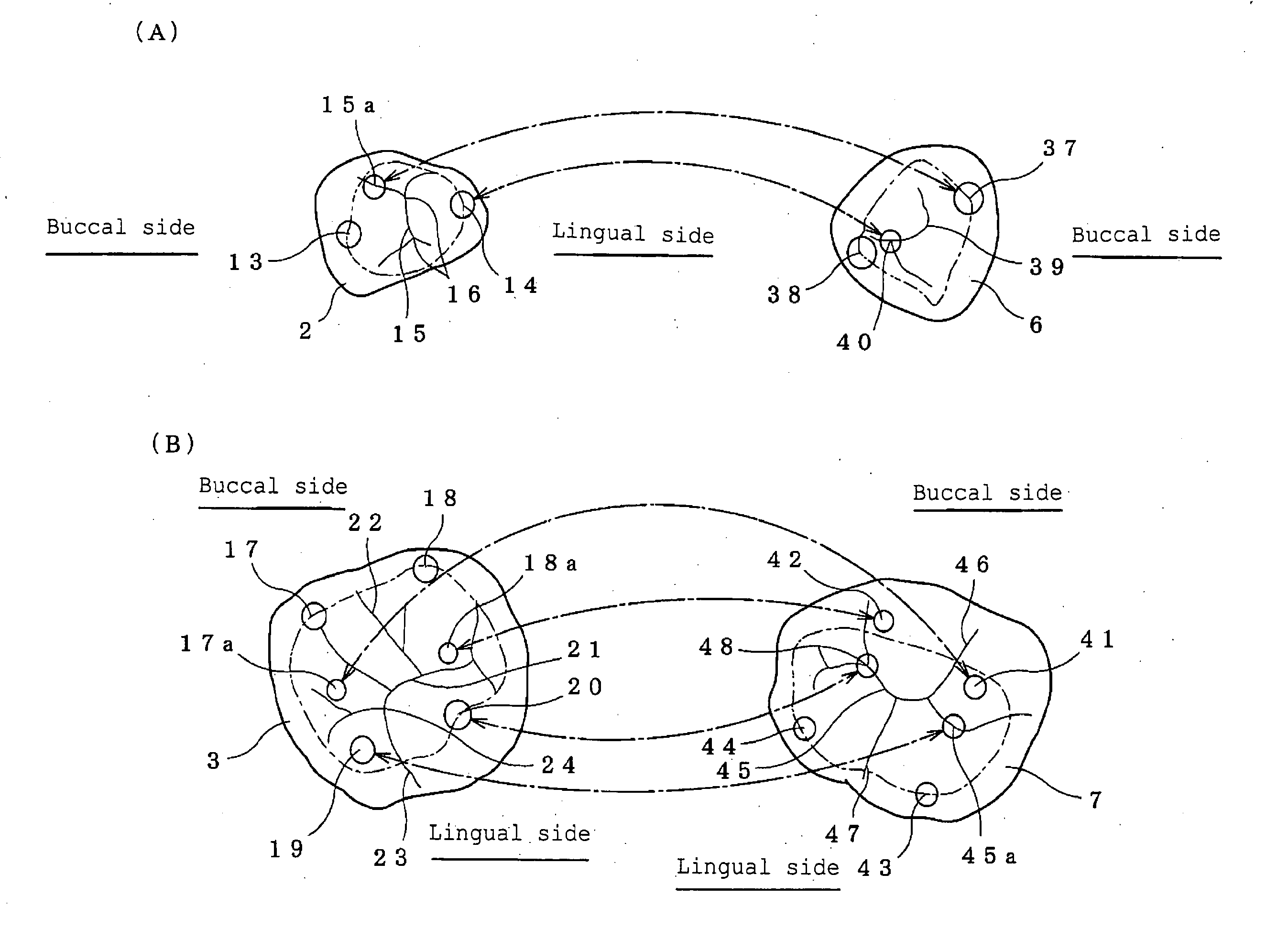 Artificial teeth