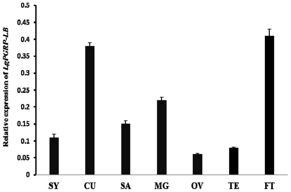 Soybean borer lgpgrp-lb gene and its application