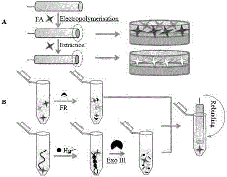 An electrochemical biosensor, its preparation method and use