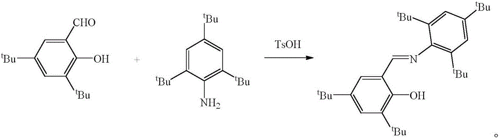 Schiff base magnesium organometallic compound, and preparation method and application thereof