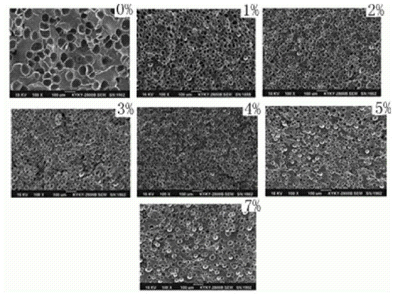 Nanometer inorganic material/polyolefine foaming material and preparation method thereof