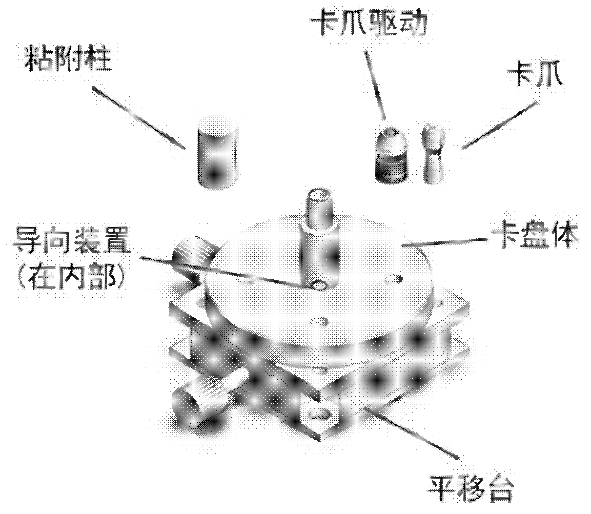 Position-adjustable optical projection tomography system sample fixing device