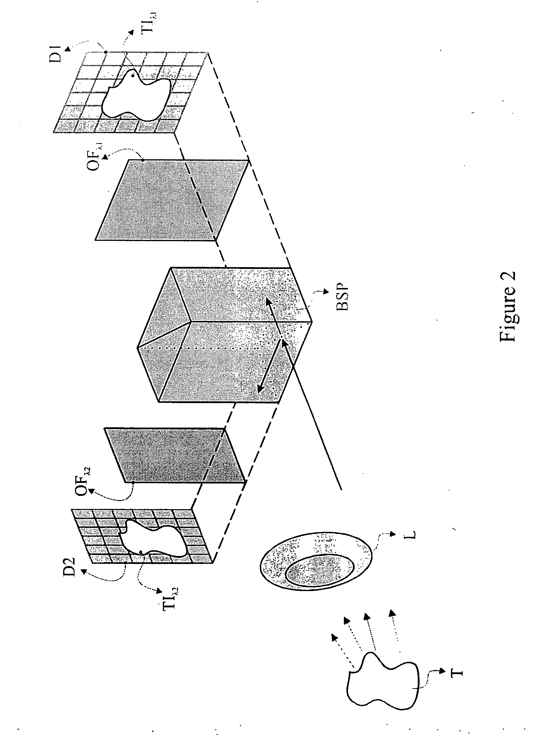 Method and system for characterization and mapping of tissue lesions