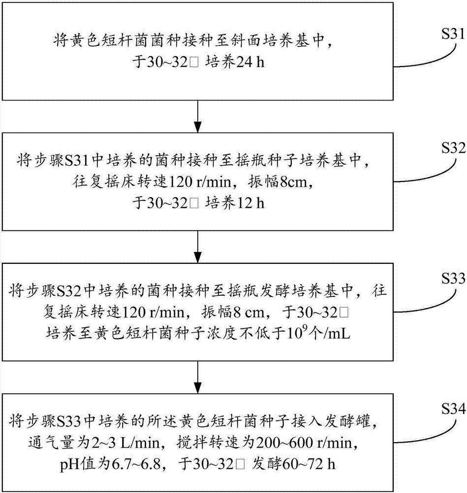 Preparation method for cottonseed meal protein fodder