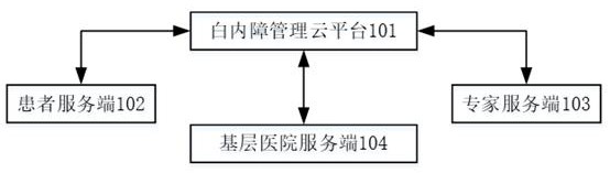 Control system and method for cataract patient in medical consortium