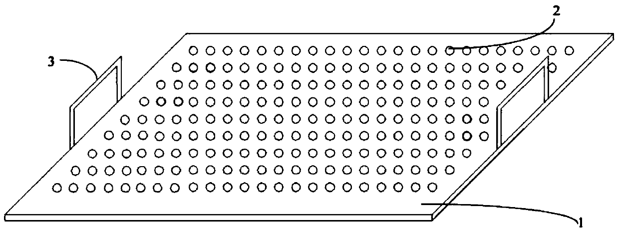 Method for manufacturing soft algae specimen