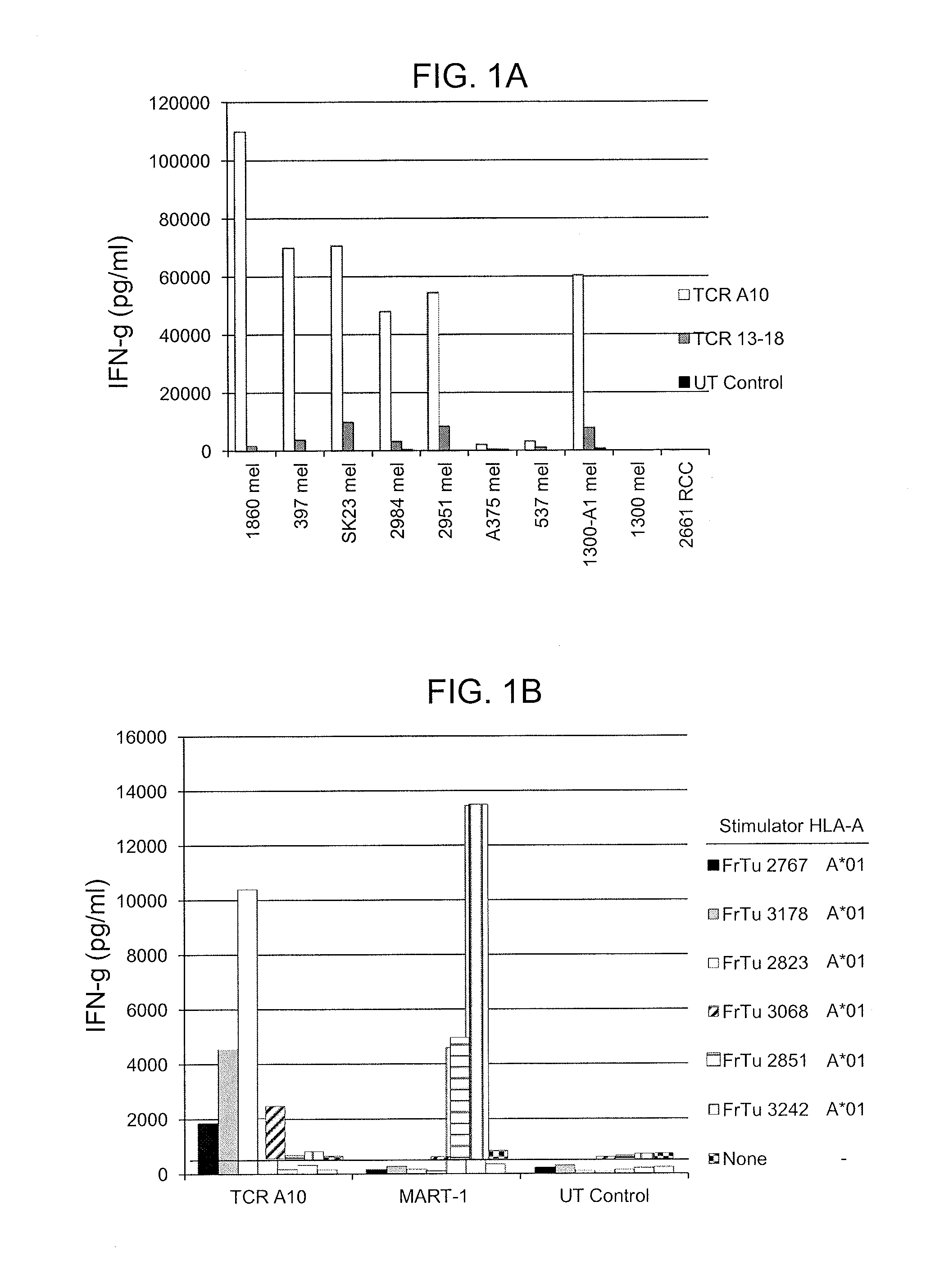 T cell receptors recognizing hla-a1- or hla-cw7-restricted mage