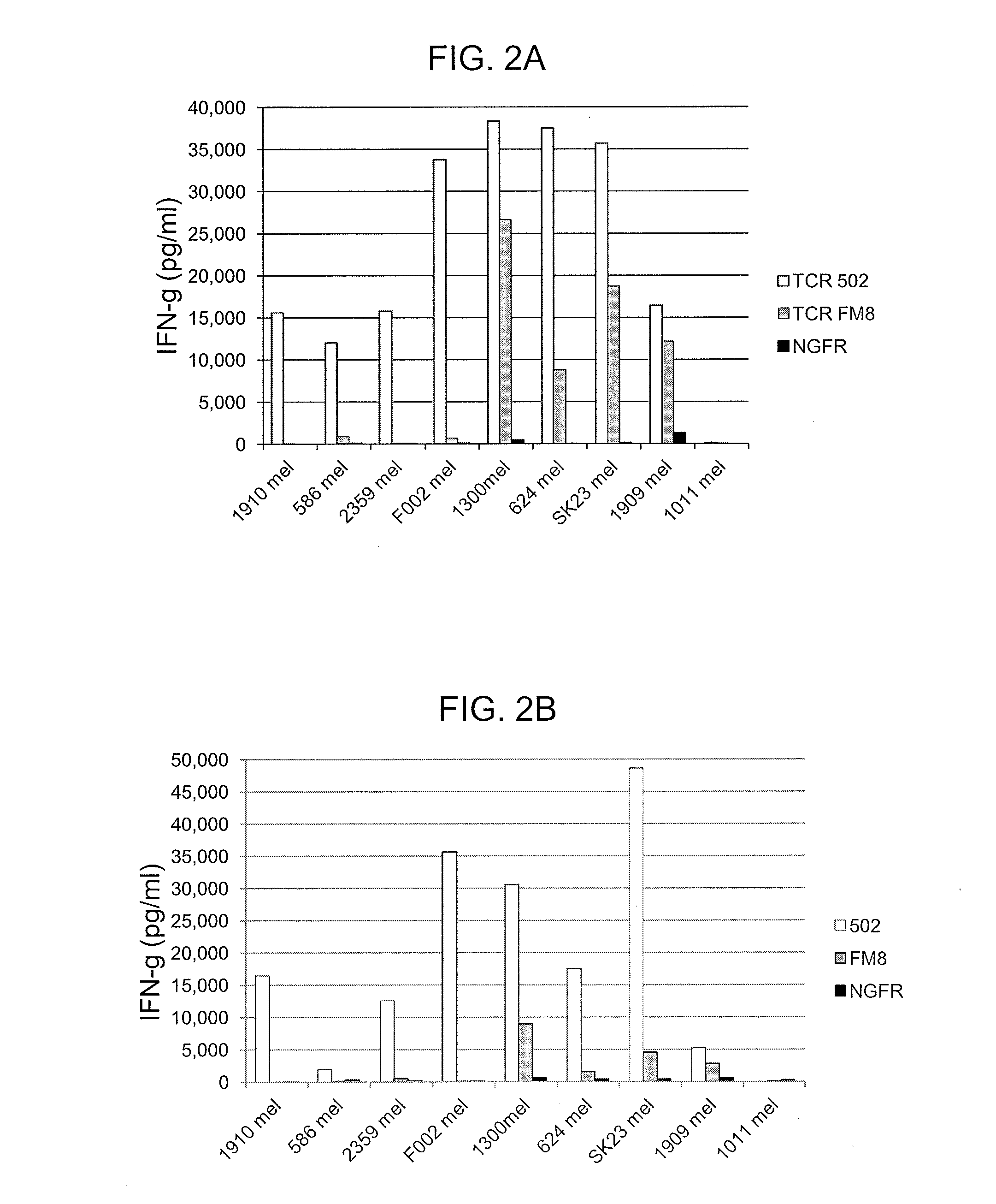 T cell receptors recognizing hla-a1- or hla-cw7-restricted mage