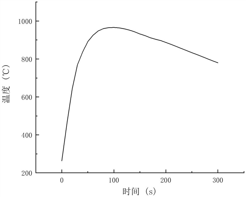 Organic silicon slag exothermic and insulating riser sleeve and preparation method thereof