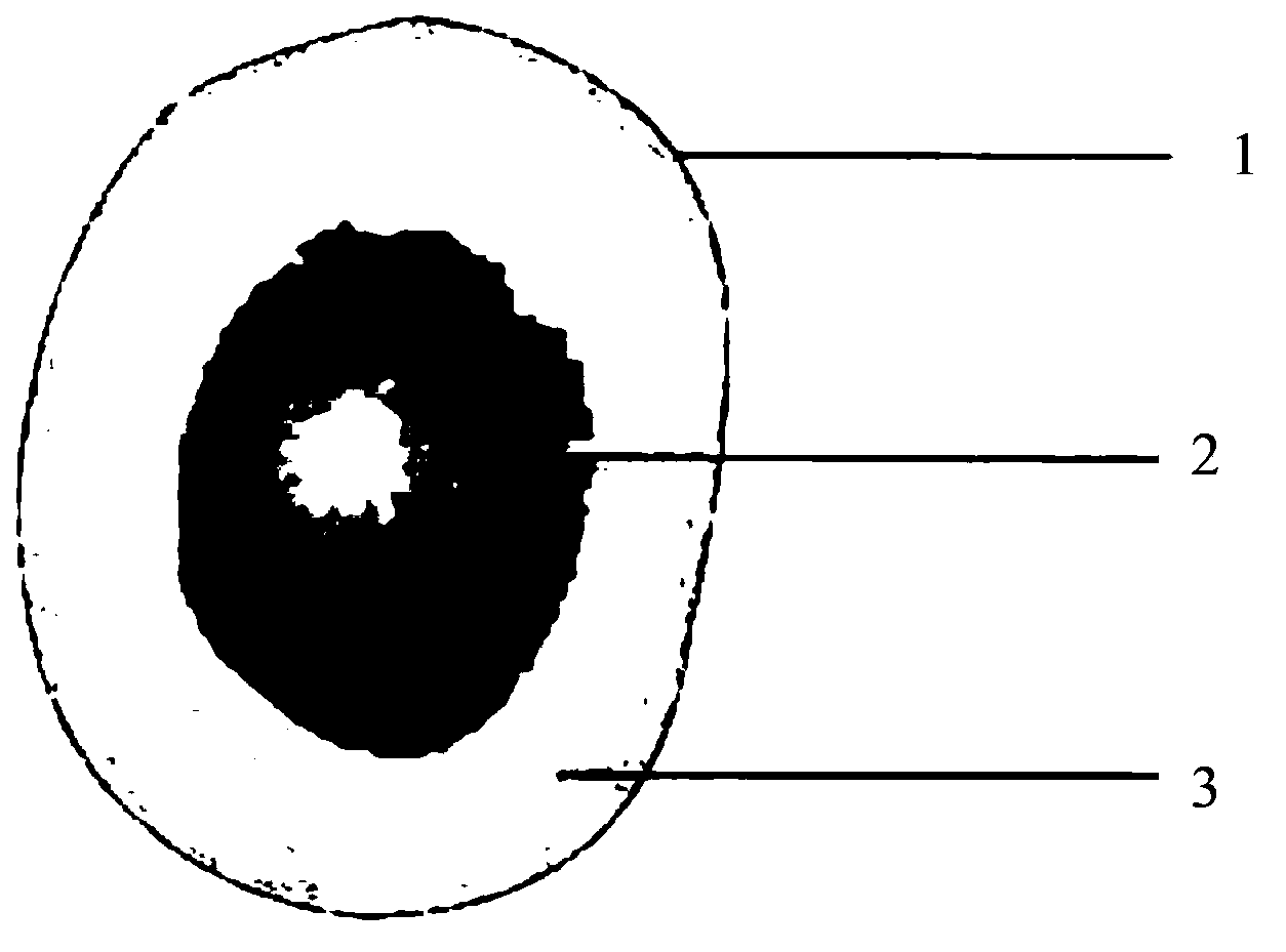 Early-stage cancer cell non-leakage detection system