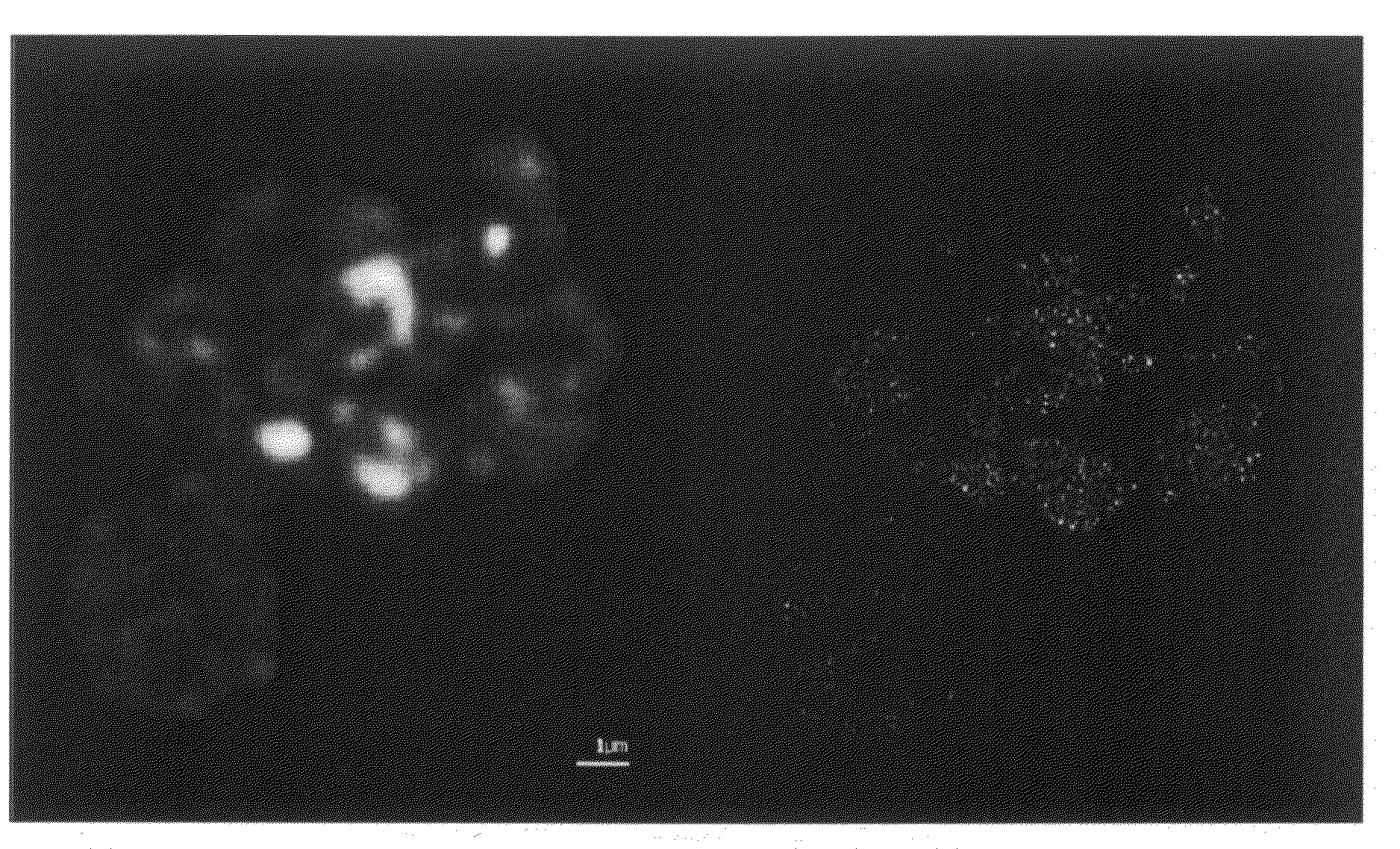 Wave field microscope with sub-wavelength resolution and methods for processing microscopic images to detect objects with sub-wavelength dimensions