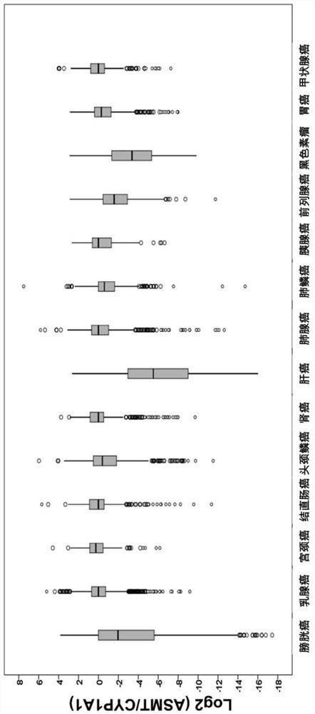 Application of ASMT/CYP1A1 molecular signature in predicting clinical prognosis or immune characteristics of solid tumors