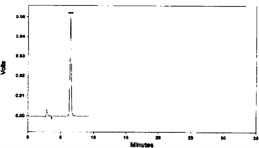 Saussurea cataplasm and production method thereof