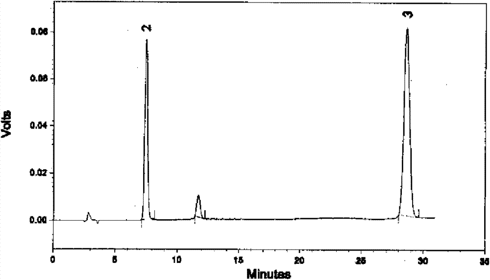 Saussurea cataplasm and production method thereof