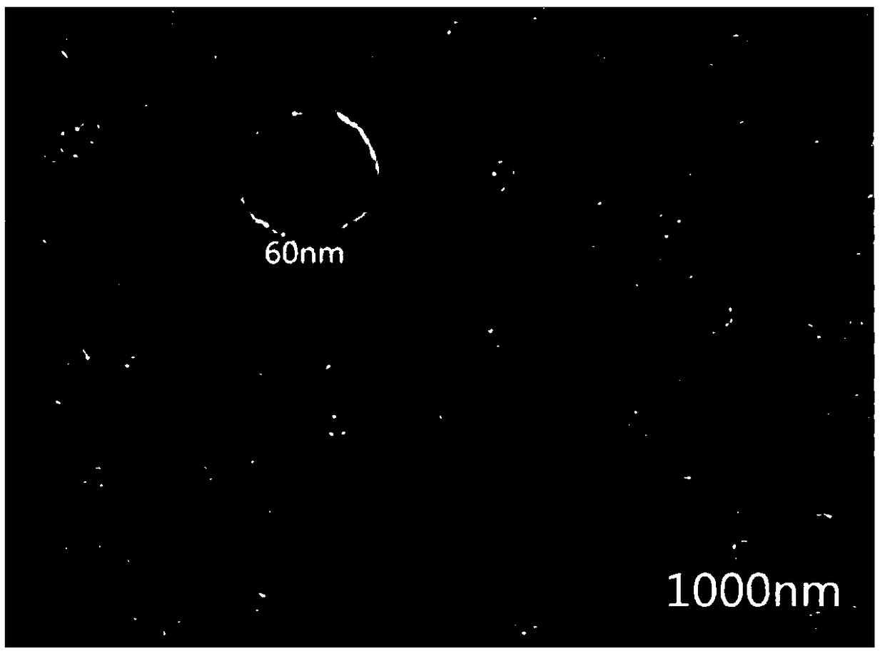 Anti-aging co-transport nanolipid vesicle and preparation method and application thereof