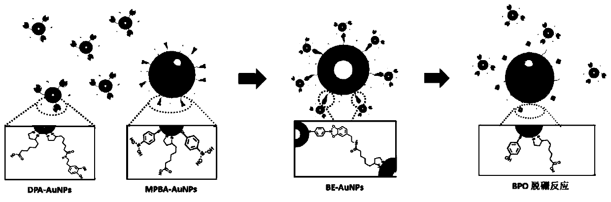 A kind of gold nanoprobe for detecting benzoyl peroxide and its preparation method and use