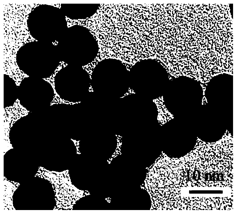 A kind of gold nanoprobe for detecting benzoyl peroxide and its preparation method and use