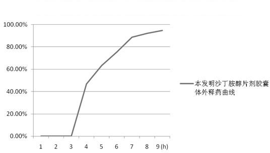 Levalbuterol hydrochloride oral controlled release tablet capsule and preparation method thereof