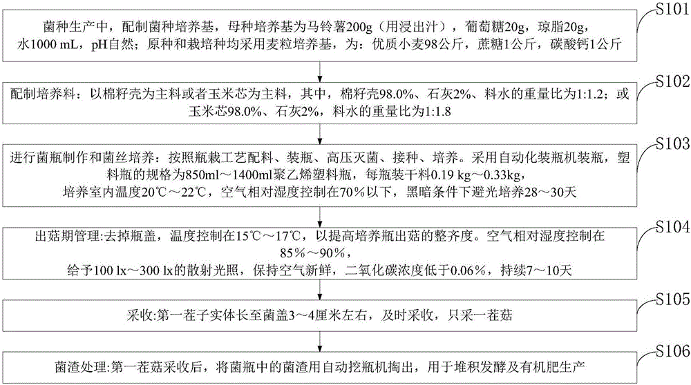 Industrialized bottle-type culturing method of pleurotus ostreatus