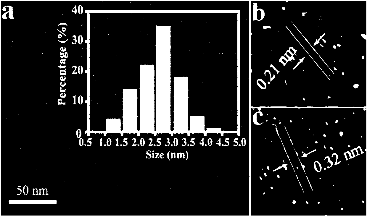 Preparation method of fluorescent carbon dot capable of imaging RNA in living cell for long time in targeting manner and product and application of preparation method