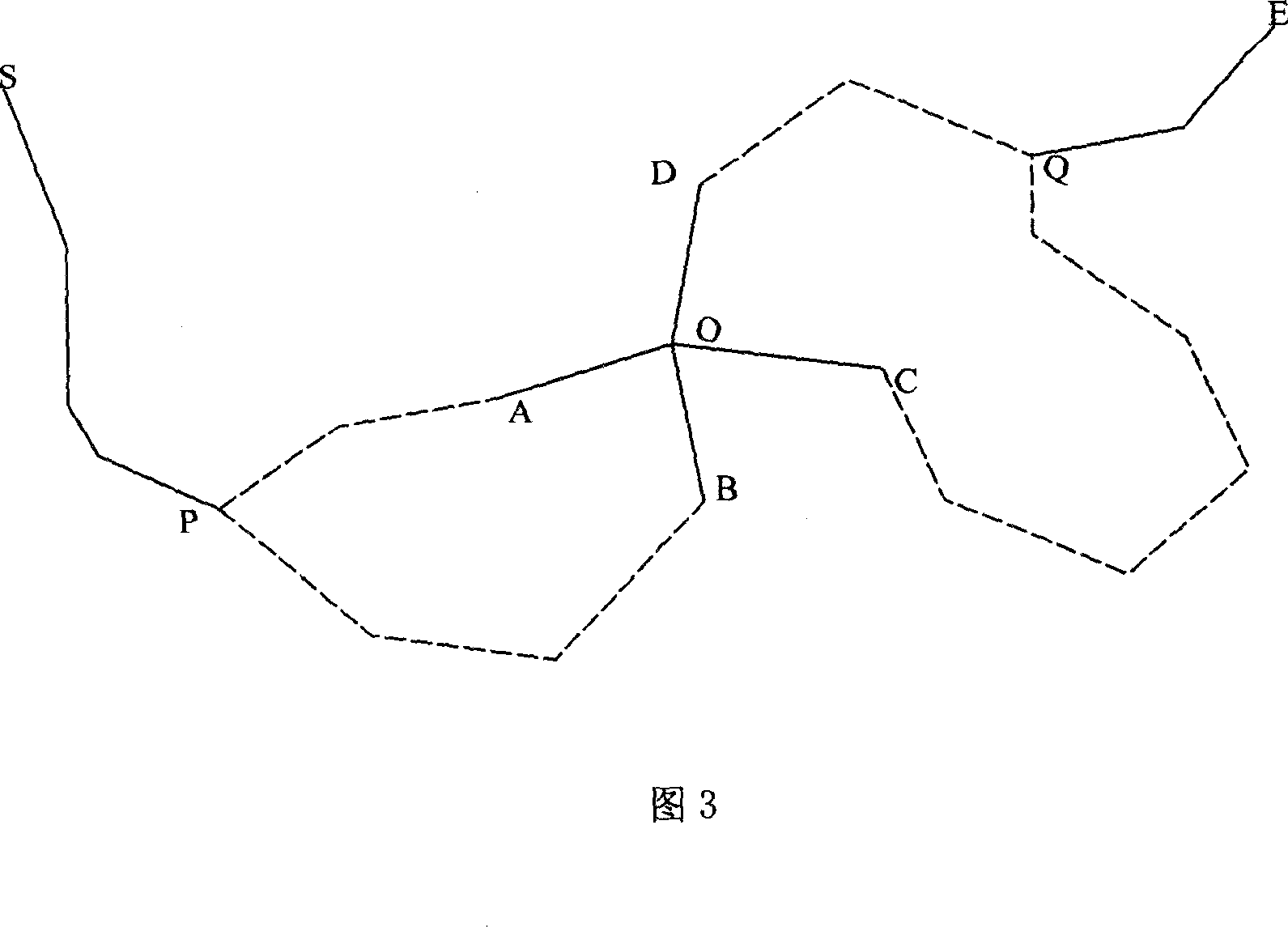 Device for displaying road navigation track