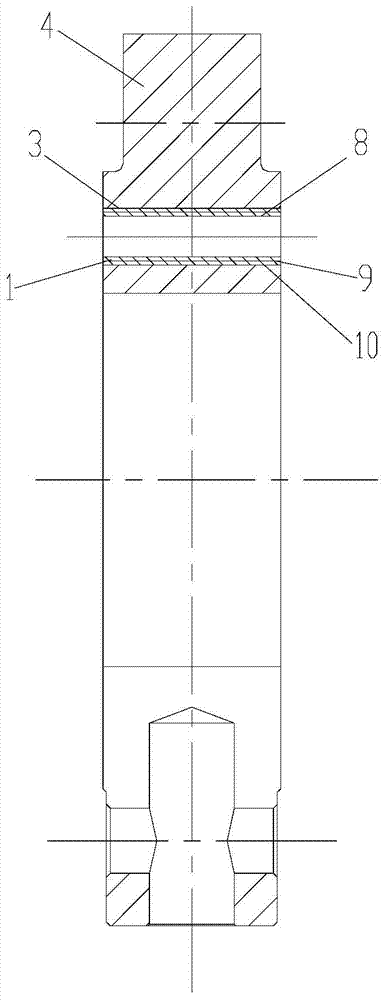 Cylinder screw mounting structure and compressor