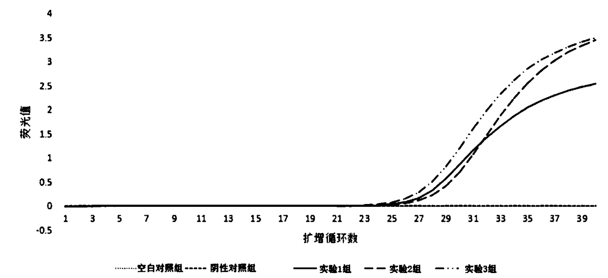 Freeze-drying PCR reagent for detecting shrimp seed enterocytozoon hepatopenaei